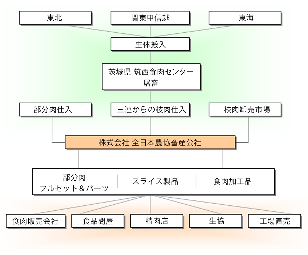 国産牛部分肉仕入れ・販売の流れ